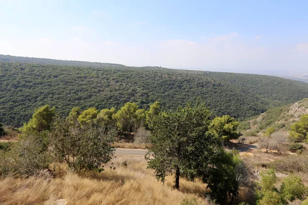 Paisaje Montaña Galilee Occidental Norte Israel — Foto de Stock