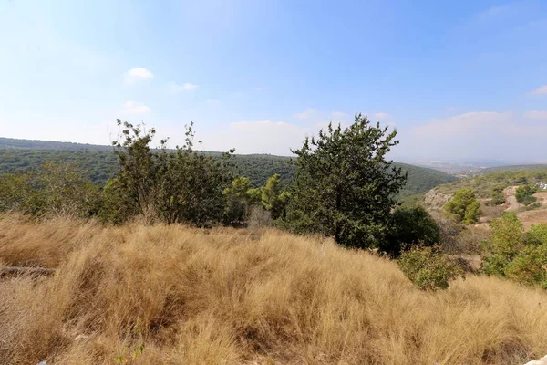 Berglandschap Westelijk Galilea Noord Israël — Stockfoto