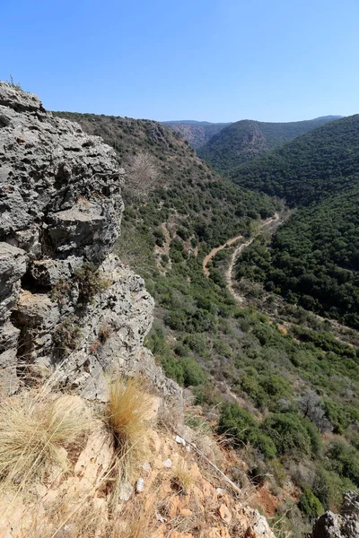 Mountain Landscape Western Galilee Northern Israel — Stock Photo, Image