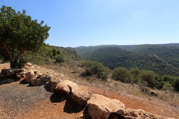 イスラエル北部の西ガリラヤの山の風景 — ストック写真