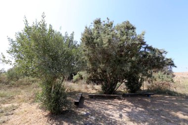 Kuzey İsrail bir açık şehir parkında bir Bank standları 