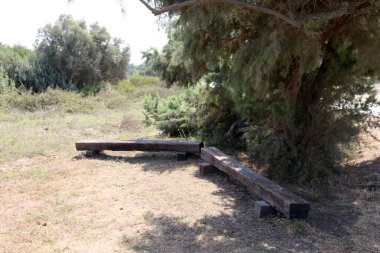 Kuzey İsrail bir açık şehir parkında bir Bank standları 