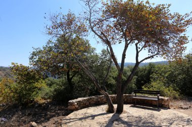 Kuzey İsrail bir açık şehir parkında bir Bank standları 