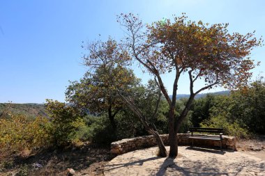 Kuzey İsrail bir açık şehir parkında bir Bank standları 