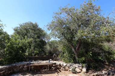 Kuzey İsrail bir açık şehir parkında bir Bank standları 