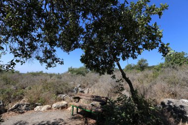 Kuzey İsrail bir açık şehir parkında bir Bank standları 