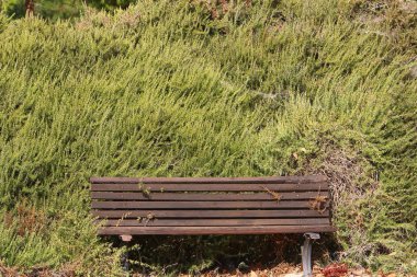 Kuzey İsrail bir açık şehir parkında bir Bank standları 