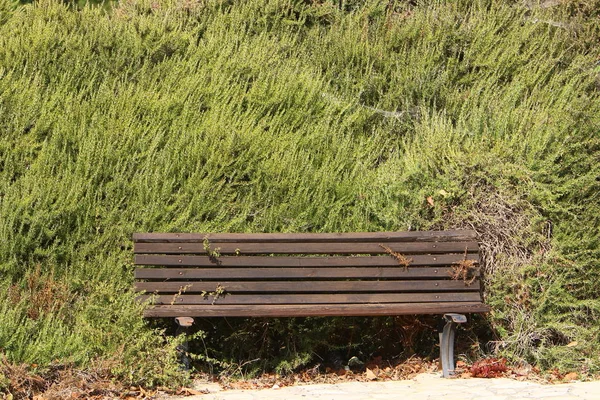 Скамейка Стоит Открытом Городском Парке Севере Израиля — стоковое фото