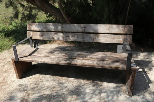 Bench Stands Open City Park Northern Israel — Stock Photo, Image