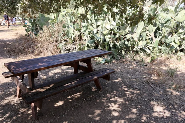 Bench Stands Open City Park Northern Israel — Stock Photo, Image