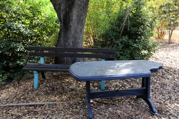 Bench Stands Open City Park Northern Israel — Stock Photo, Image