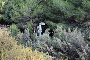 Şehir aydınlatma için büyük bir fener 