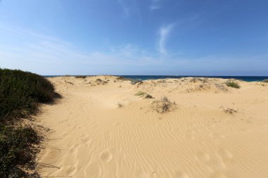 İsrail devleti Kuzey Akdeniz'de Sahili 