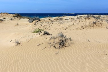 İsrail devleti Kuzey Akdeniz'de Sahili 