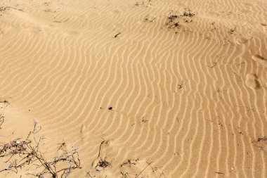 İsrail devleti Kuzey Akdeniz'de Sahili 