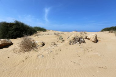 İsrail devleti Kuzey Akdeniz'de Sahili 