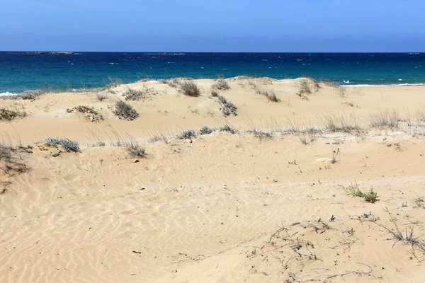 İsrail devleti Kuzey Akdeniz'de Sahili 