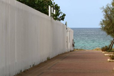 bitki ve çiçek çit büyüdü 