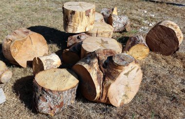 doku ve yapısı ahşap ve ahşap ürünleri 