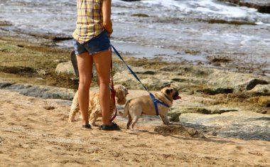 adam Kuzey İsrail'Akdeniz kıyısında 