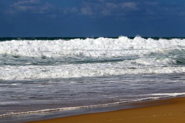 Kuzey İsrail'Akdeniz Denizi'nin kıyısında 