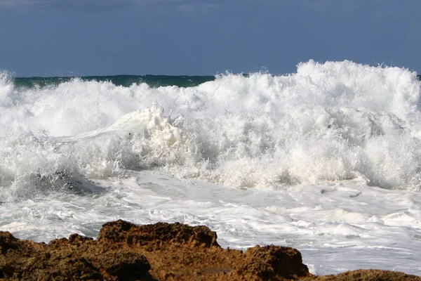 Costa Del Mar Mediterraneo Nel Nord Dell Israele — Foto Stock