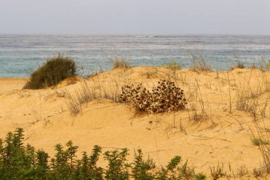 Akdeniz'de İsrail devletinin kuzey kıyısında 
