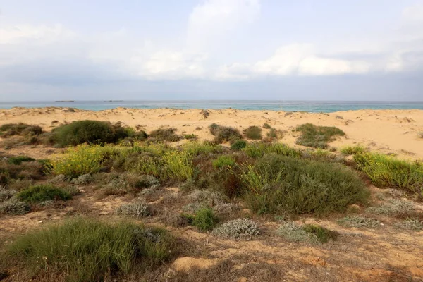 Costa Mar Mediterrâneo Norte Estado Israel — Fotografia de Stock