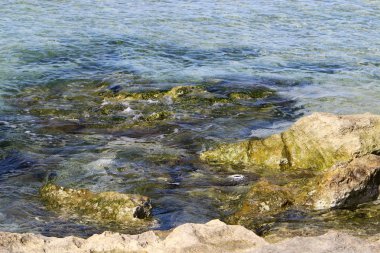 Akdeniz'de İsrail devletinin kuzey kıyısında 