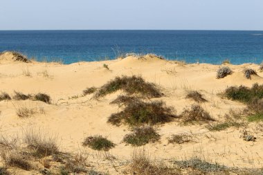 Akdeniz'de İsrail devletinin kuzey kıyısında 