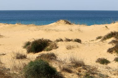 Akdeniz'de İsrail devletinin kuzey kıyısında 