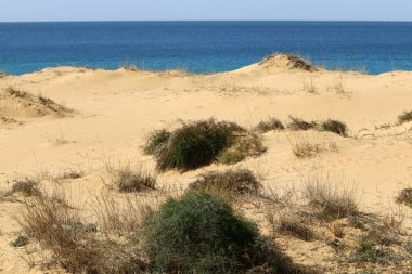 Akdeniz'de İsrail devletinin kuzey kıyısında 