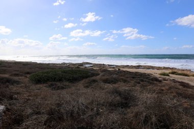 Akdeniz'de İsrail devletinin kuzey kıyısında 