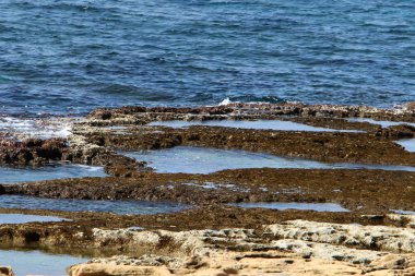 Akdeniz'de İsrail devletinin kuzey kıyısında 
