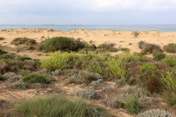 Akdeniz'de İsrail devletinin kuzey kıyısında 