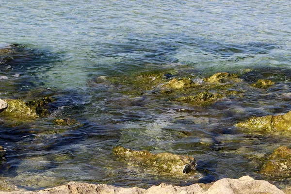 Akdeniz'de İsrail devletinin kuzey kıyısında 