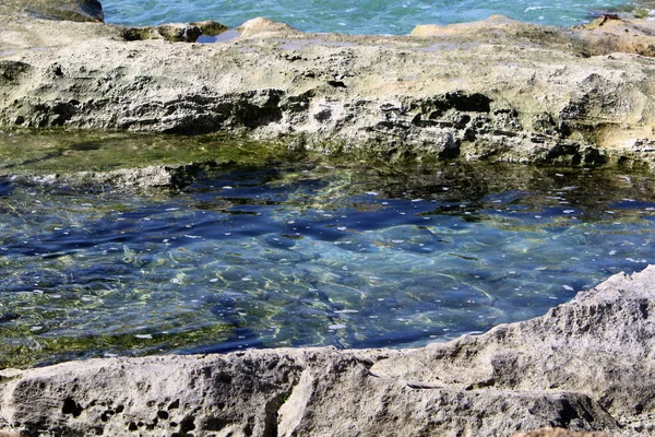 Akdeniz'de İsrail devletinin kuzey kıyısında 