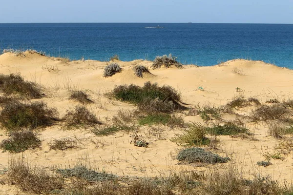 Akdeniz'de İsrail devletinin kuzey kıyısında 