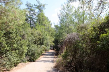 ülkede yol Kuzey İsrail Şehir Parkı 