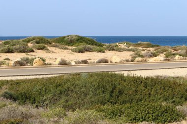 ülkede yol Kuzey İsrail Şehir Parkı 
