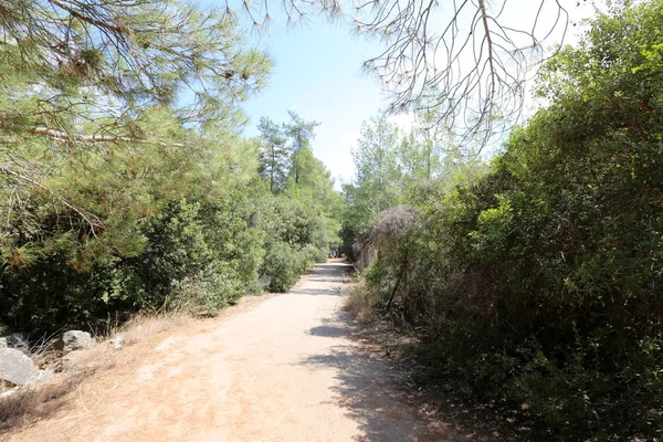 Carretera Rural Parque Ciudad Norte Israel — Foto de Stock