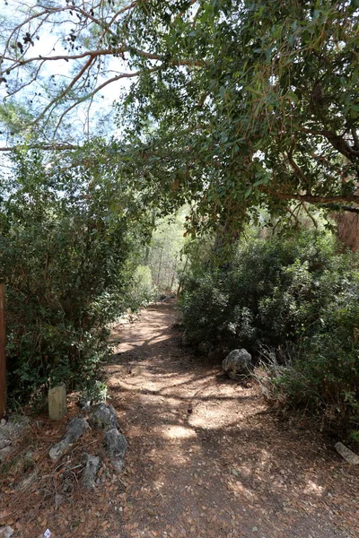 Landsväg Stadspark Norra Israel — Stockfoto