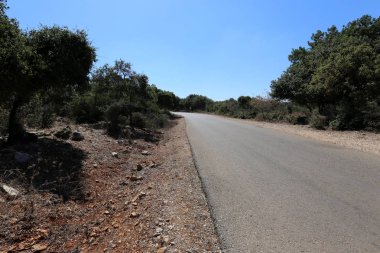 ülkede yol Kuzey İsrail Şehir Parkı 