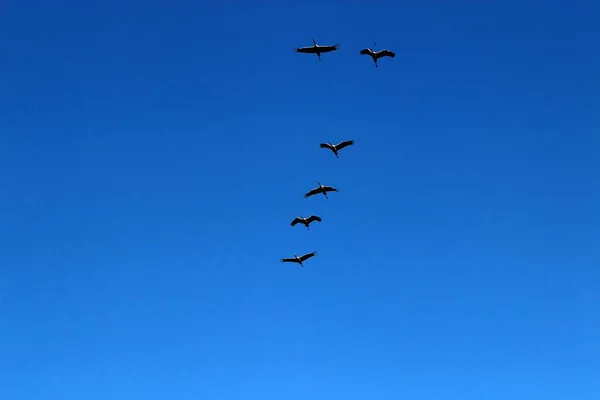 Vue Ciel Terrestre Dépend Heure Journée Période Année Temps Principal — Photo