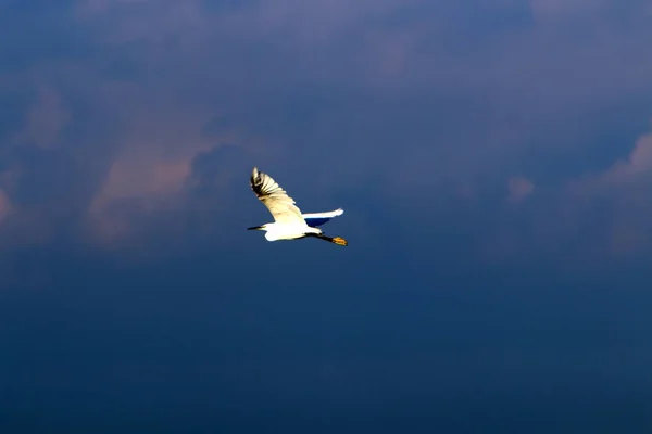 Vista Del Cielo Tierra Depende Hora Del Día Época Del —  Fotos de Stock