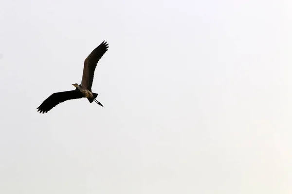 Der Blick Auf Den Irdischen Himmel Hängt Von Tageszeit Jahreszeit — Stockfoto