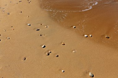 Akdeniz'de İsrail devletinin kuzey kıyısında 