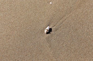 Akdeniz'de İsrail devletinin kuzey kıyısında 