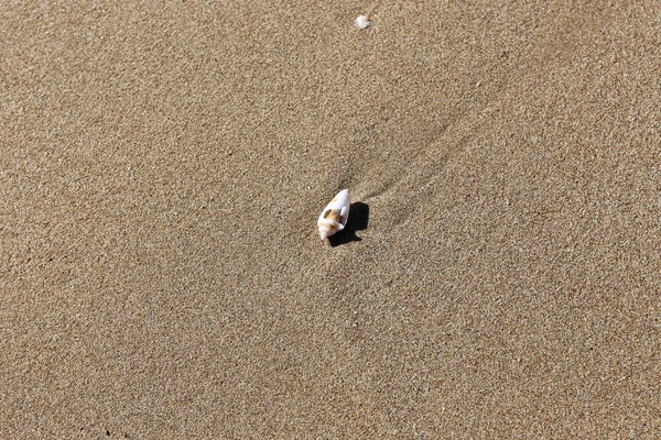 Côte Mer Méditerranée Nord État Israël — Photo