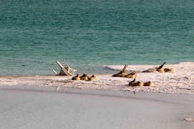 Ölülerin, Sodom deniz İsrail ve Ürdün Çölü'arasında yer alır 